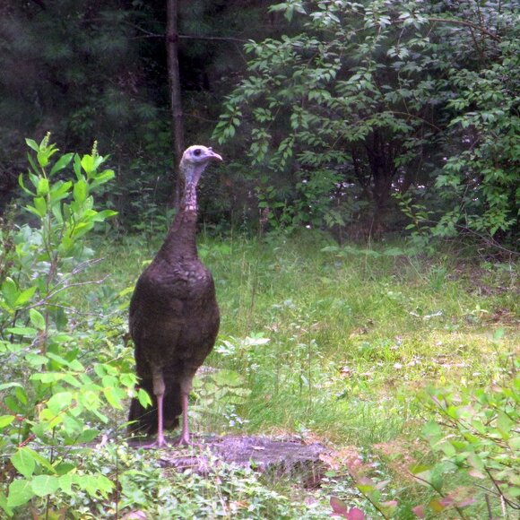 Meet CB Auder - Picture 2 of 5